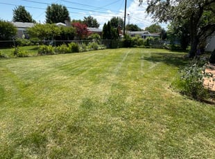 Karissa S.'s lawn service service result