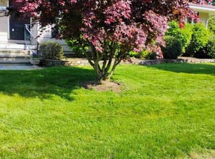 Donna C.'s lawn care services service result