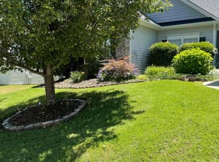 Marc B.'s lawn care services service result