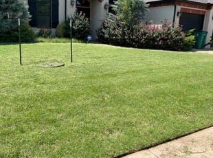 Felicia K.'s lawn maintenance service result