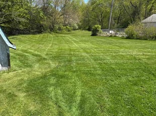 Shellise C.'s lawn maintenance service result
