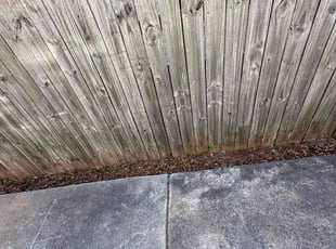 Jacob H.'s Long Grass Cleanup service result