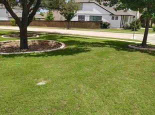 John P.'s lawn care service result