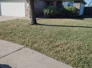 Judith V.'s lawn care services service result