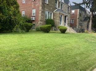 Yvette S.'s lawn service service result