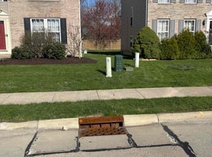 Venita Y.'s turf maintenance service result