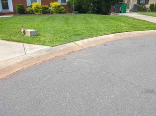 Michael W.'s lawn care services service result