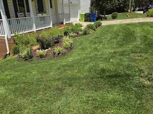 Nancy I.'s turf care service result