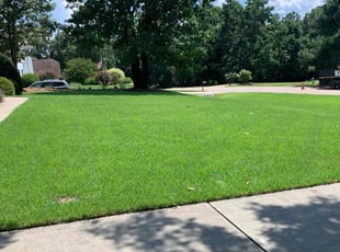 Jim K.'s grass maintenance service result