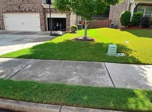 Scott B.'s lawn care service result