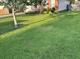 Justin S.'s lawn service service result
