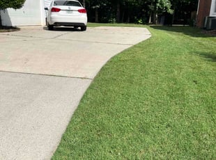 Ronny C.'s lawn maintenance service result