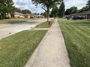 Debra H.'s turf maintenance service result