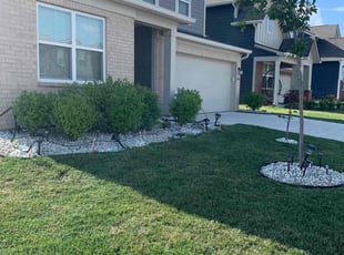 Davida H.'s grass maintenance service result