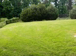 Crystal J.'s turf maintenance service result