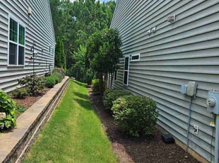 Martha B.'s Bush Trimming service result