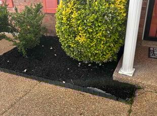 Breanne H.'s Mulching service result