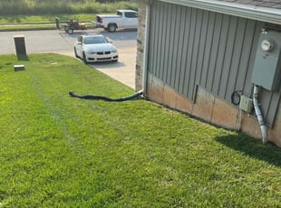 Derek N.'s lawn service service result