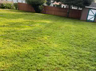 Henry P.'s lawn service service result