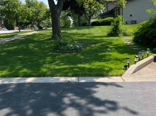 Marian G.'s Lawn Seeding service result