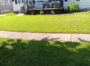 Tiffani G.'s lawn service service result