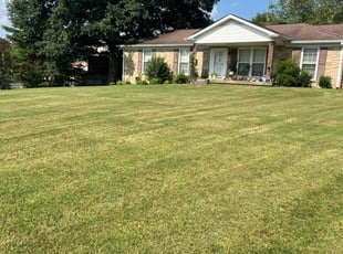Jesse L.'s turf maintenance service result