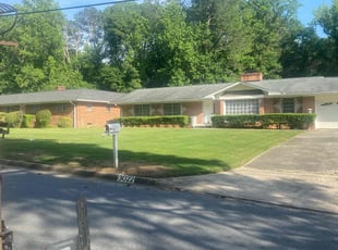Ashley B.'s grass maintenance service result