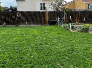Alma R.'s lawn care service result