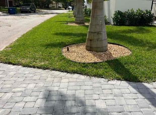 Robbie P.'s grass maintenance service result
