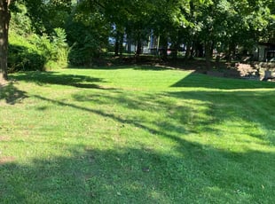 Gregory F.'s lawn care service result
