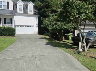 Terrence D.'s turf care service result