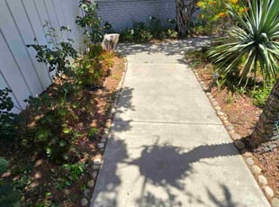 Lillian F.'s turf maintenance service result