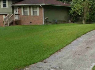 Aaron B.'s grass cutting service result