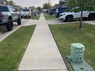 Michael M.'s lawn service service result