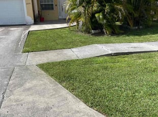 Corey L.'s lawn care services service result