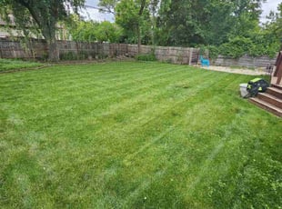 James M.'s lawn service service result