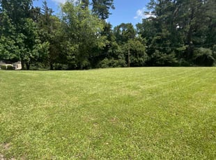 Anita S.'s grass maintenance service result