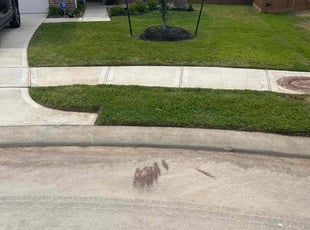 Bridgette R.'s lawn service service result