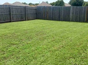 Alicia B.'s lawn service service result