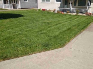 Denise H.'s lawn service service result