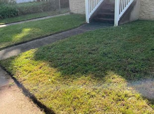 Jake N.'s lawn care service result
