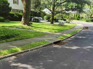 Diane K.'s lawn service service result