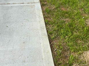 Mike M.'s grass maintenance service result