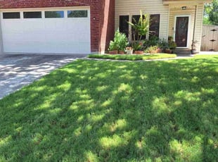 Jaquari B.'s turf care service result