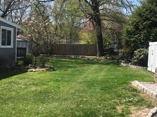 Catherine H.'s lawn maintenance service result