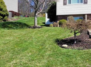 Joseph C.'s turf maintenance service result
