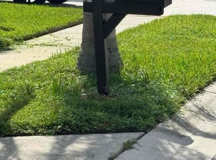 Annemarie E.'s grass cutting service result