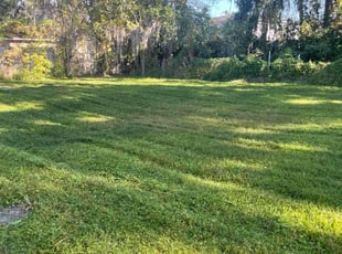 Debra D.'s lawn service service result