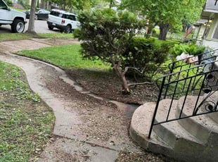 Pearl C.'s Leaf Removal service result
