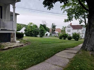 Anthony I.'s grass maintenance service result